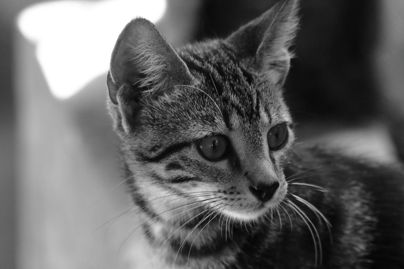 2015 08 31 HTP 04289ebw